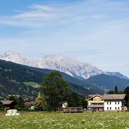 Ferienhaus Altenmarktblick Алтенмаркт им Понгау Екстериор снимка